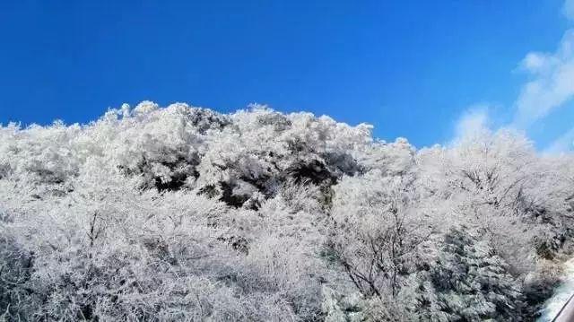 杀戮尖塔